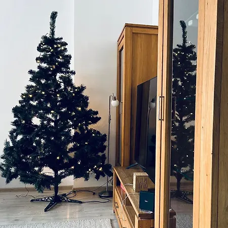 Carla Comfort * 科希策